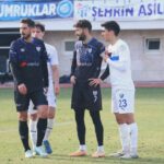 erbaa_karacabey_kareler_06